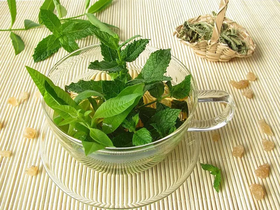 Aromatic Mint (Hortelã)